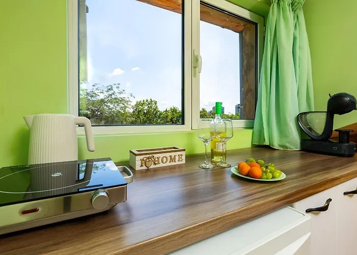 Sunflower Next To Kolodrum Plovdiv