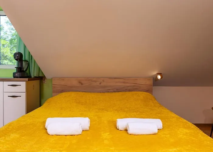 Sunflower Next To Kolodrum Apartment