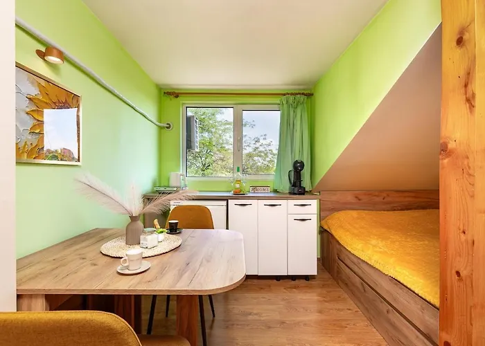 Sunflower Next To Kolodrum