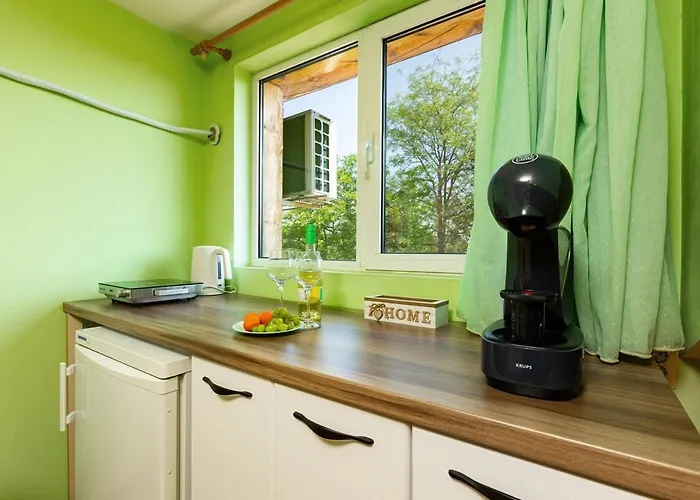 Sunflower Next To Kolodrum Plovdiv