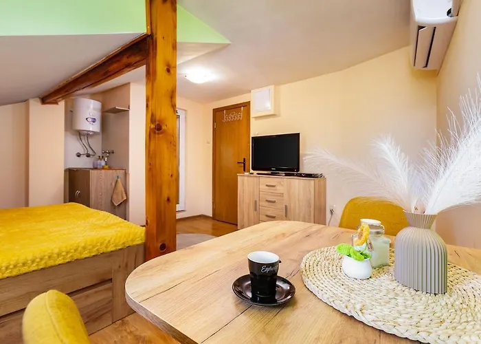 Sunflower Next To Kolodrum Apartment *