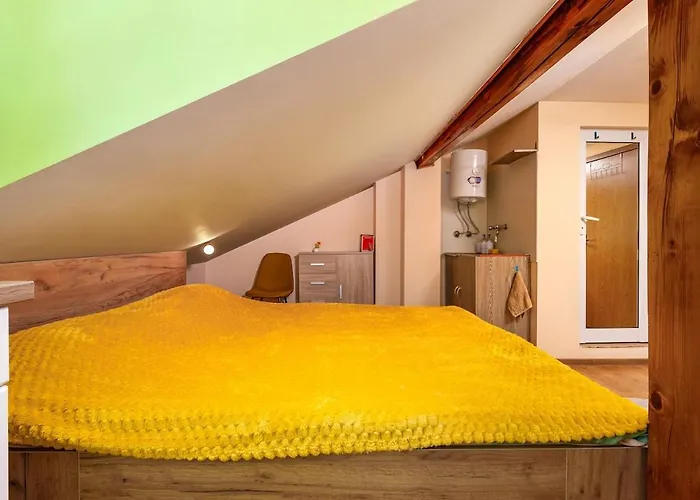 Sunflower Next To Kolodrum * Plovdiv