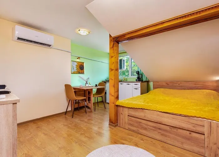 Sunflower Next To Kolodrum